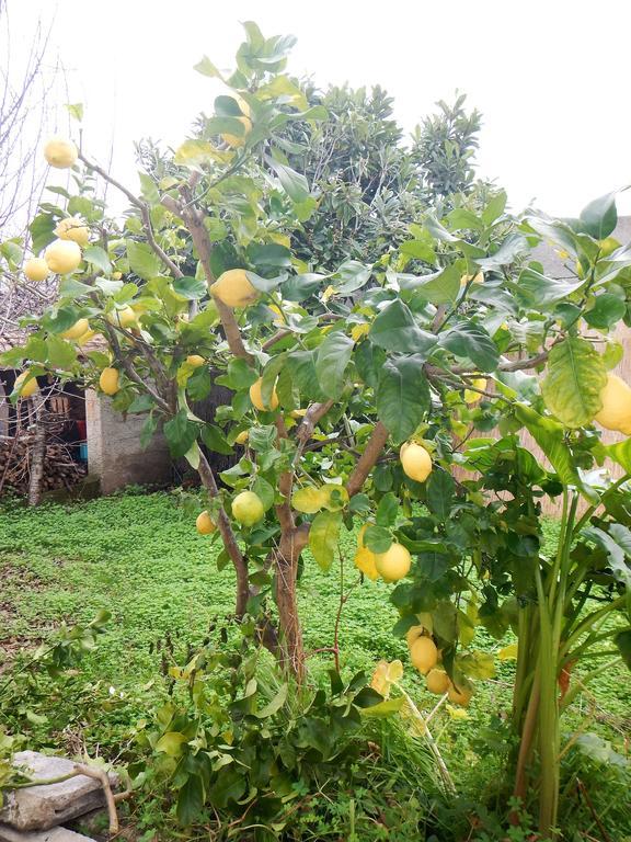 Appartamenti By The Hill Fertilia Exterior photo